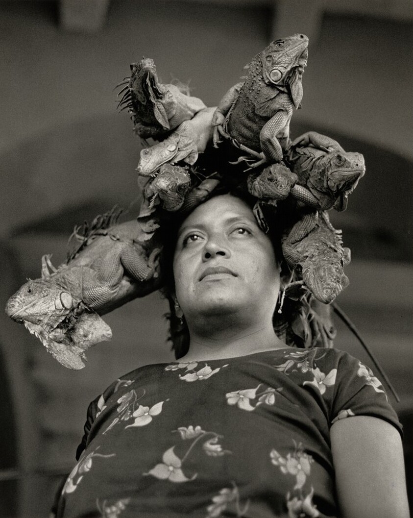 Nuestra señora de las iguanas, Juchitán, México (Our Lady of the Iguanas, Juchitán, Mexico)