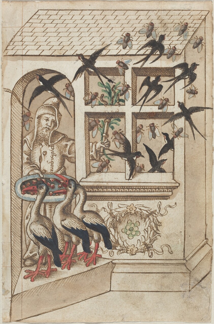 "Do Not Have Swallows under the Same Roof" [fol. 40 recto]