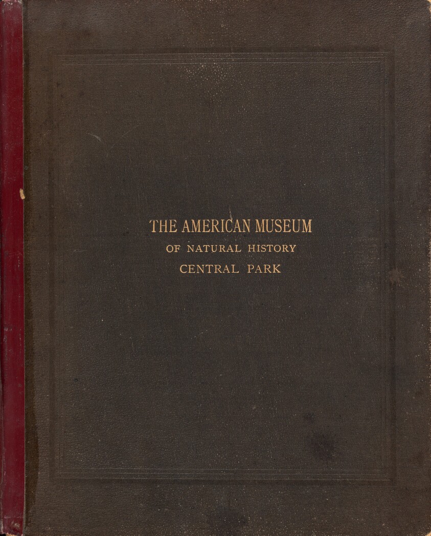 The Photographic Album of the American Museum of Natural History, Central Park, New York City