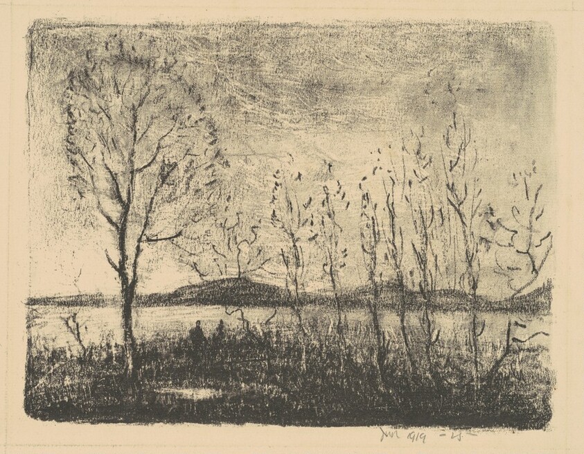 The Lake and the Trees