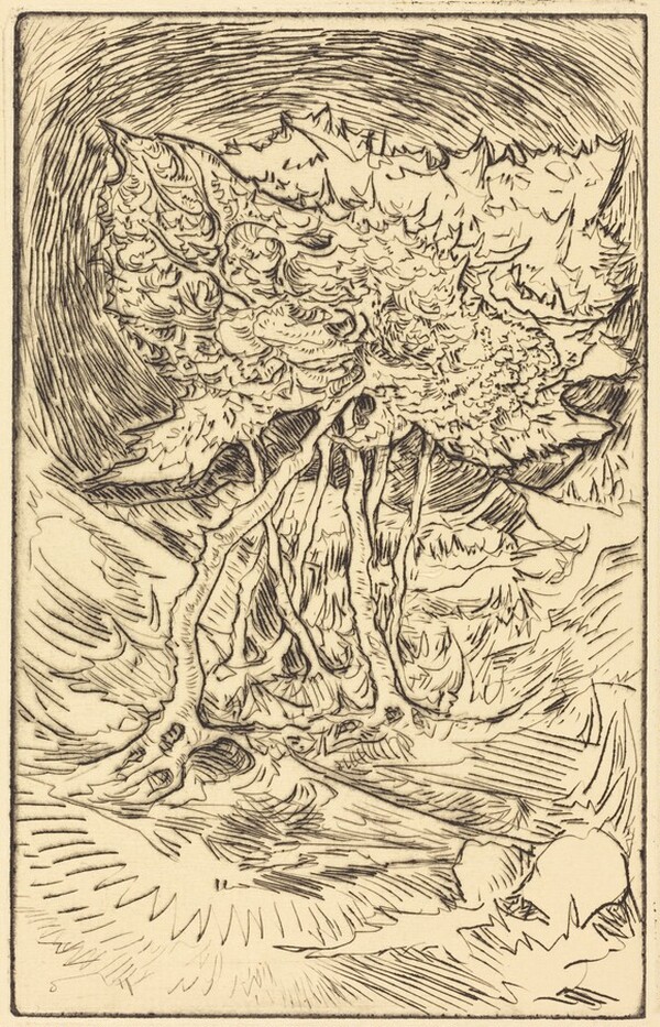 Landscape with Prominent Trees