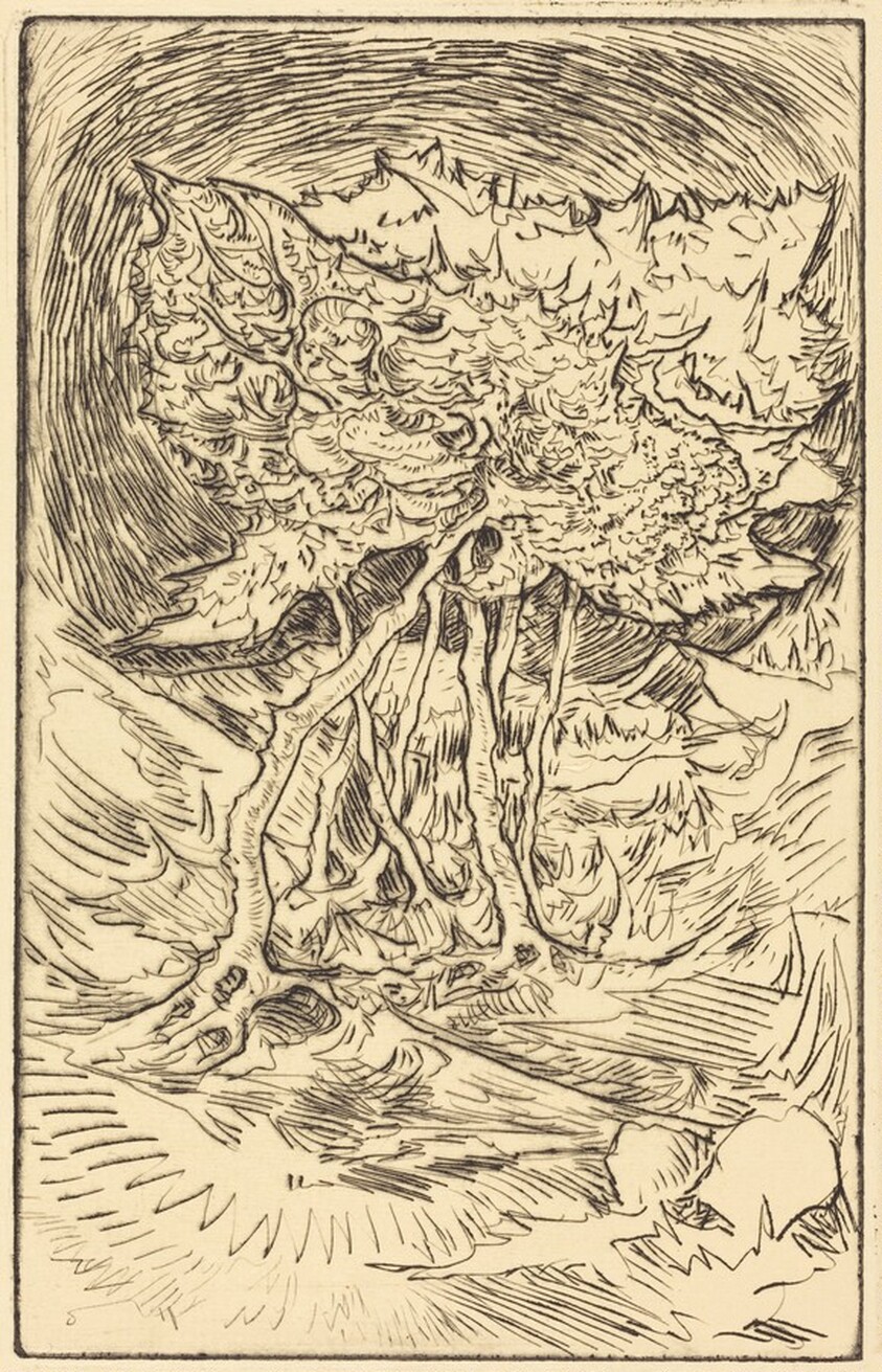 Landscape with Prominent Trees