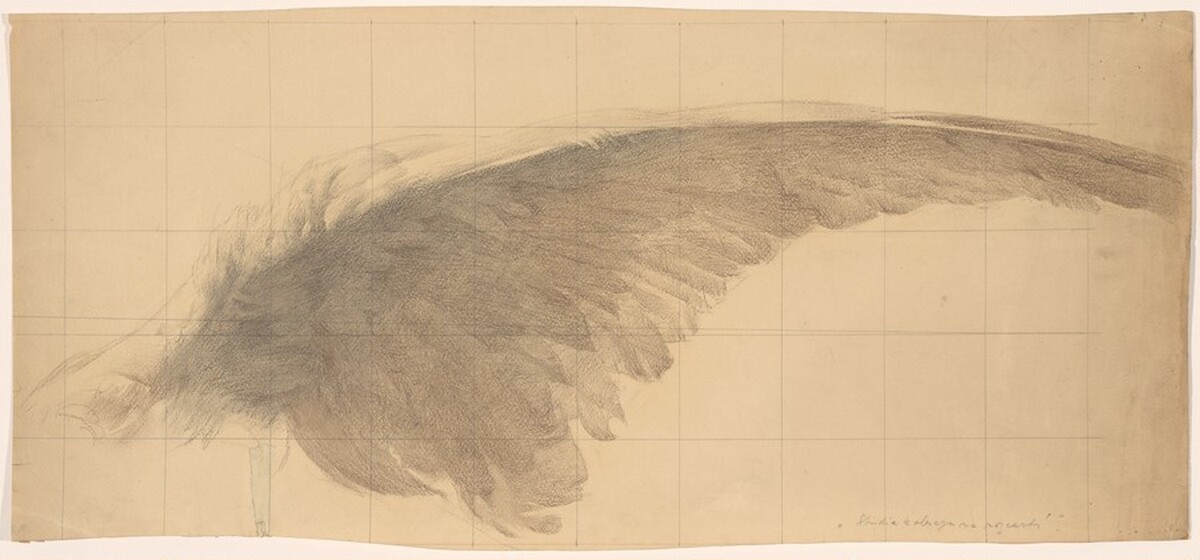 The Wing