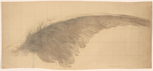 The Wing