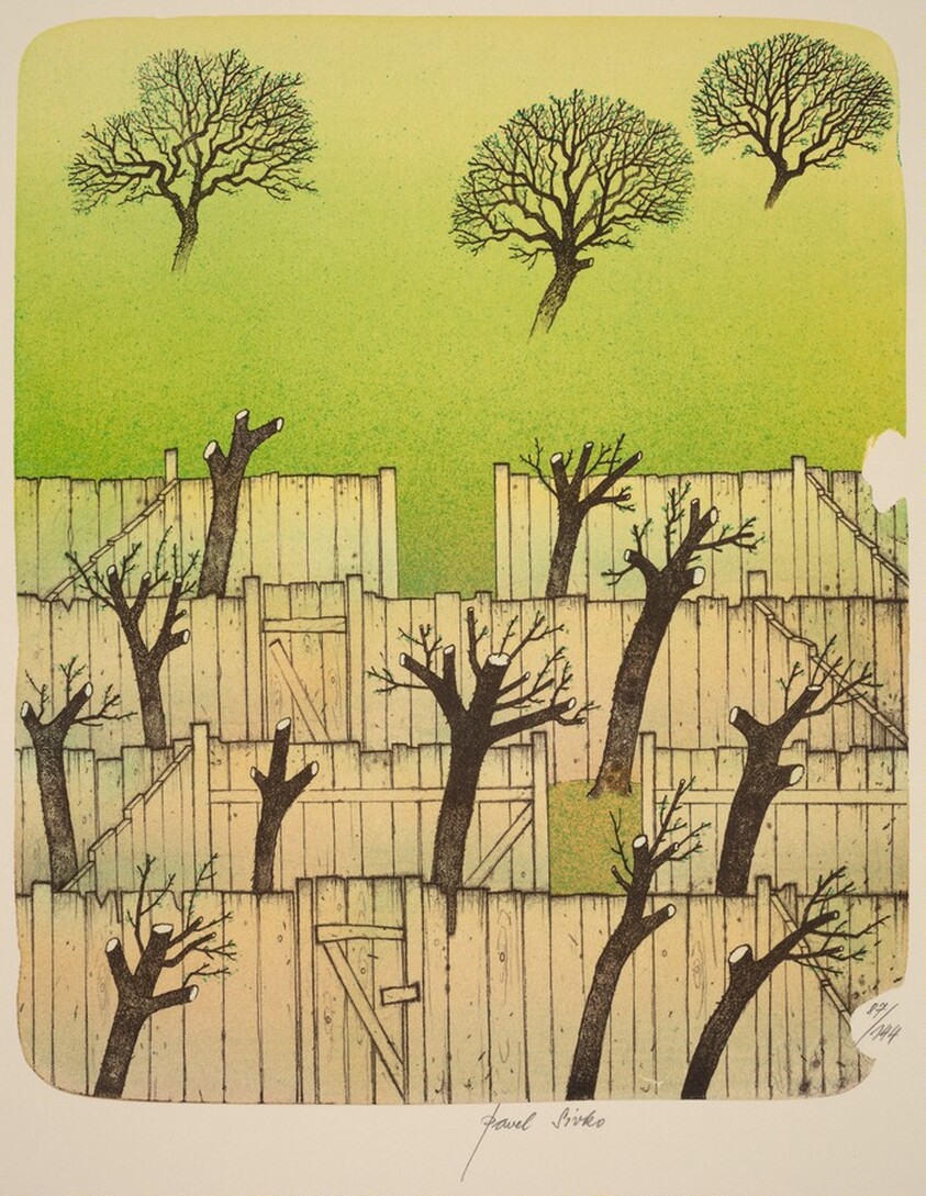 Mezi ploty/Between Fences