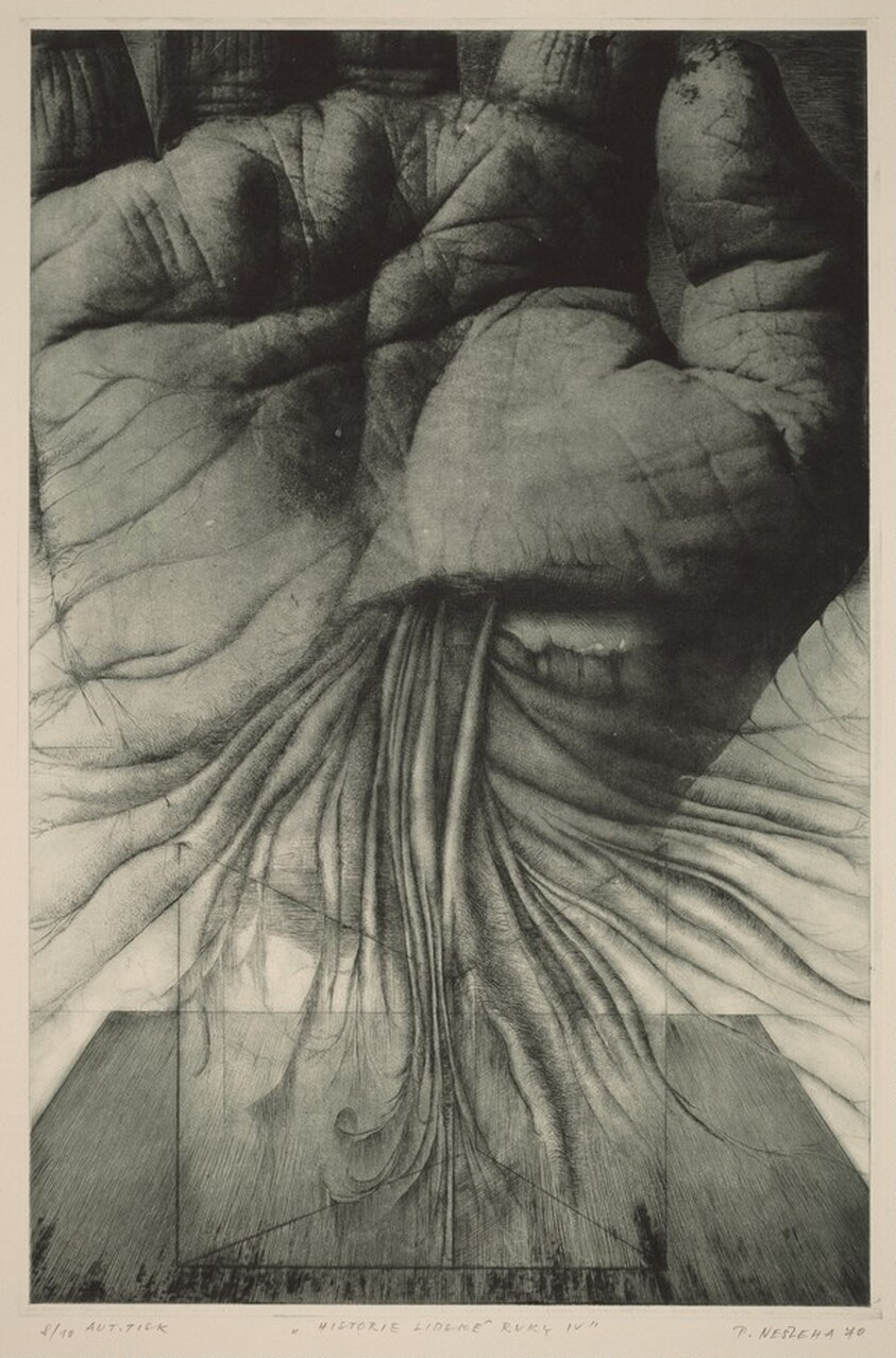 Historie lidské ruky IV/The History of Human Hands IV