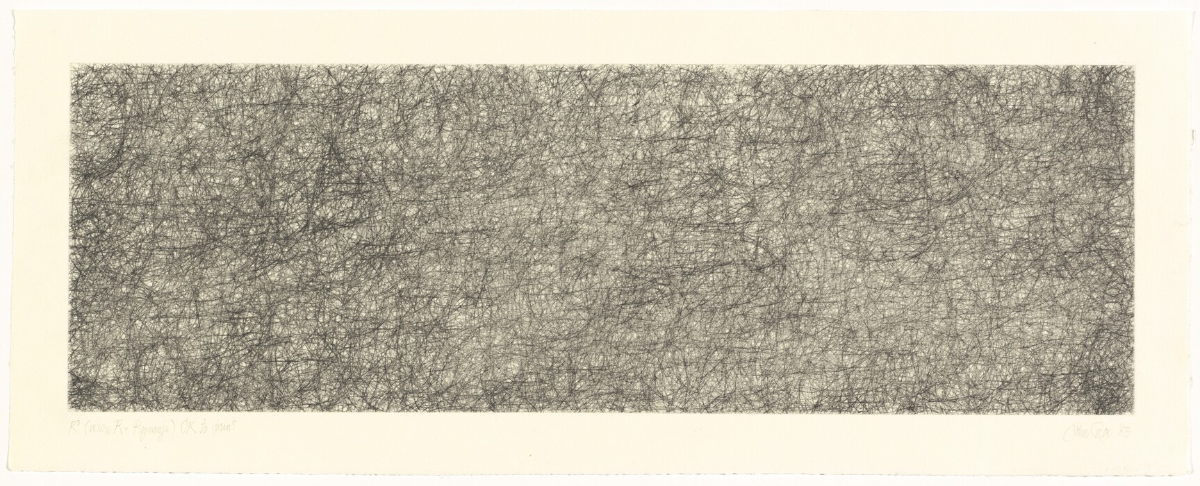 The image displays a series of thin, black lines intersecting at various angles to form an abstract pattern within a rectangular space. The lines overlap to create a tangled appearance, resembling a mass of threads or a chaotic scribble. The texture has a resemblance to a bird's nest or dense brambles, evoking feelings of complexity and organic structure.