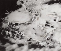Atomic Bomb Test Sequence, Operation Upshot-Knothole, Nevada Proving Ground, #4, American 20th Century, March 17, 1953
