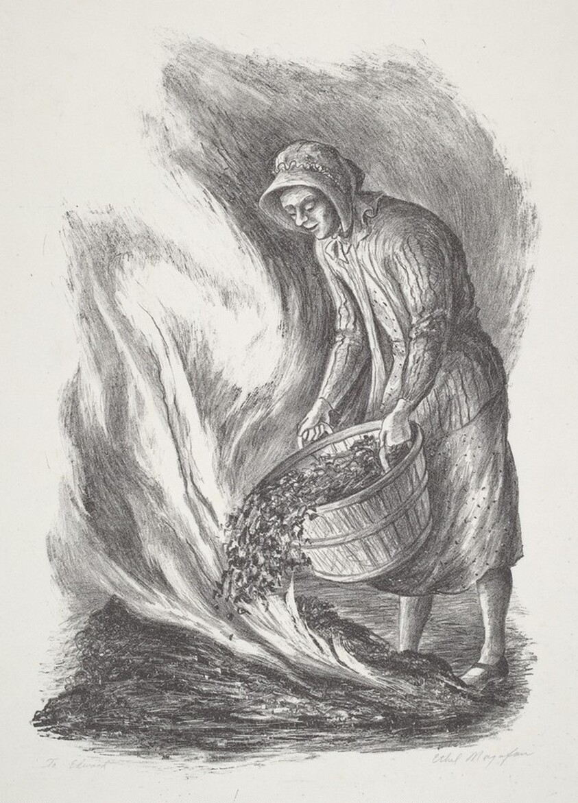 Burning Autumn Leaves