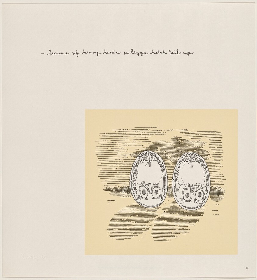 Owl Feathers: page 24