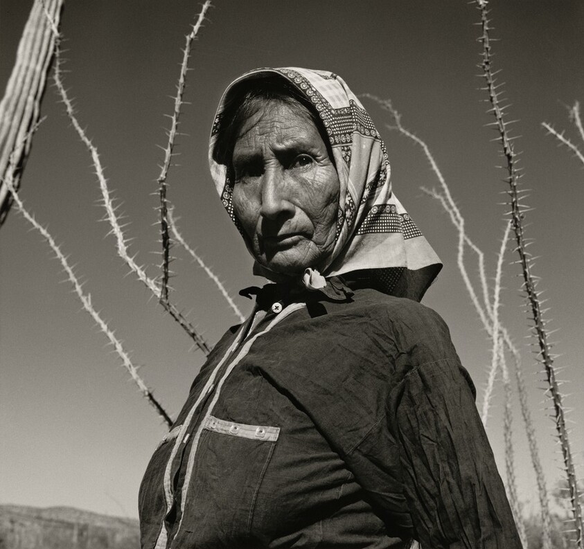 Deserito de Sonora, México (Sonoran Desert, Mexico)