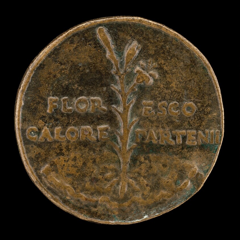 Lily and Inscription [reverse]