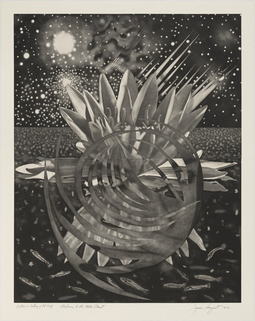 Welcome to the Water Planet