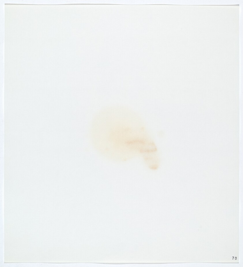 Stains: Olive Oil (Star)