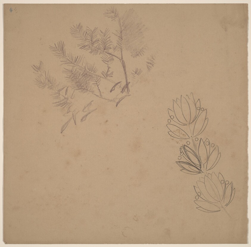 Study for a Border Design with a Sketch of a Tree