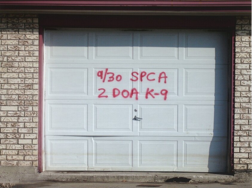 Untitled [New Orleans and the Gulf Coast, 2005]