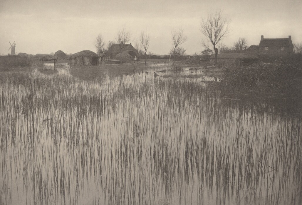 The image depicts a wetland landscape with a horizon showing silhouettes of bare trees, small houses, and a windmill. Long grasses grow out of the water with their reflection visible in the calm surface. The scene is in a soft, monochrome palette dominated by shades of grey and taupe, evoking a calm and quiet atmosphere. The textures are gentle with smooth transitions between elements, suggesting either an early morning or late afternoon under an overcast sky.