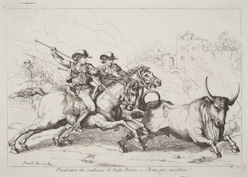 Cavalcature che conducono le bestie bovine in Roma, per macellare (Cattle Driven to the Slaughter in Rome) (Plate 16)
