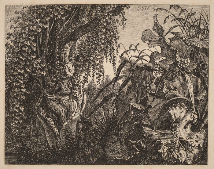 The image shows a close-up view of lush vegetation with intricate details. A gnarled tree with interwoven branches and cascading leaves dominates the left side of the scene. The textured bark and layered foliage are depicted with fine brushstrokes. In the middle, the horizon is indistinct behind dense vegetation. The right side features large leaves, grasses, and flowering plants with varied patterns and shading. The monochromatic palette uses blacks, whites, and greys to highlight details and textures, creating a rich natural scene.
