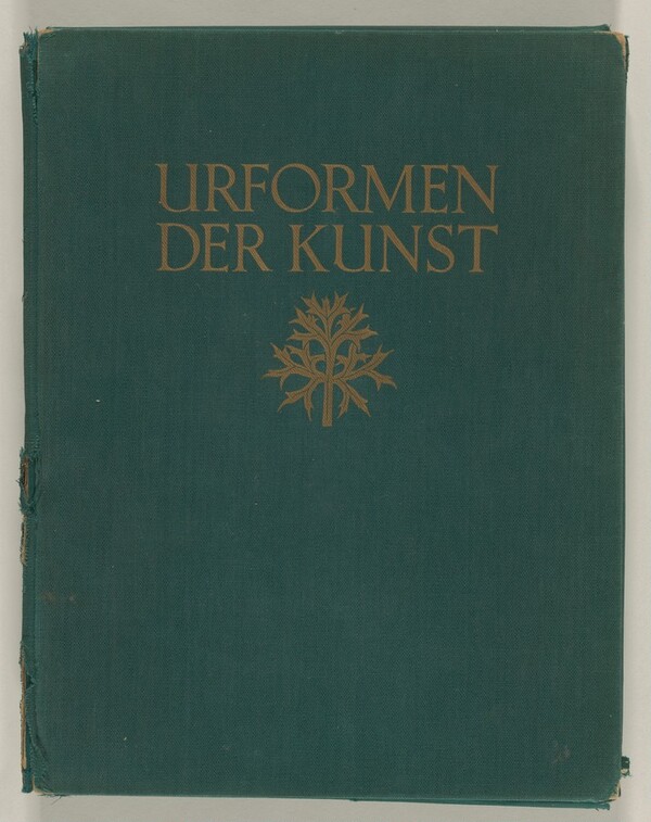 Urformen der Kunst