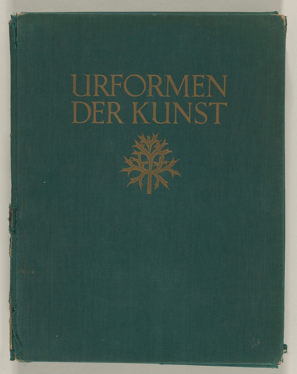 This is a photograph of a book cover. The image features a dark green book cover with the title "URFORMEN DER KUNST" printed in gold lettering prominently in the center. Below the title, there is a decorative gold emblem resembling a stylized plant or tree. The edges and corners of the book reveal signs of wear, such as fraying and slight tears. The cover is made of fabric material, which gives it a textured appearance.
