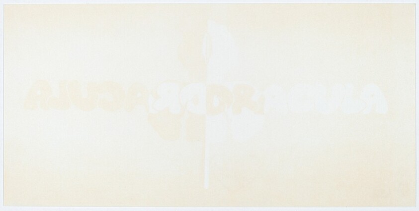 Rocket Dracula Sexto