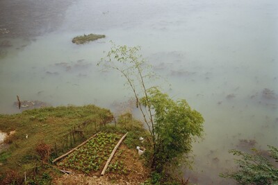Vegetable Garden, Mai Châu, Vietnam 1994, Mitch Epstein, 1994, printed 2025