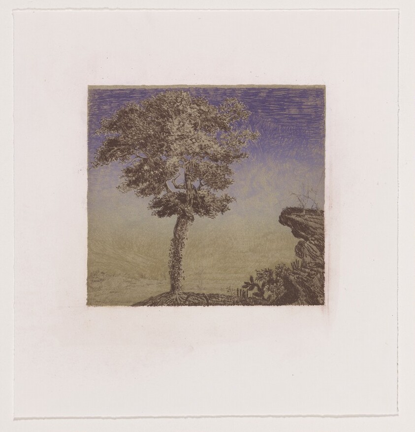 Untitled (#2) [working proof 4]