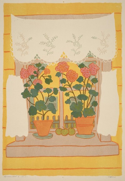 Windows and Plants