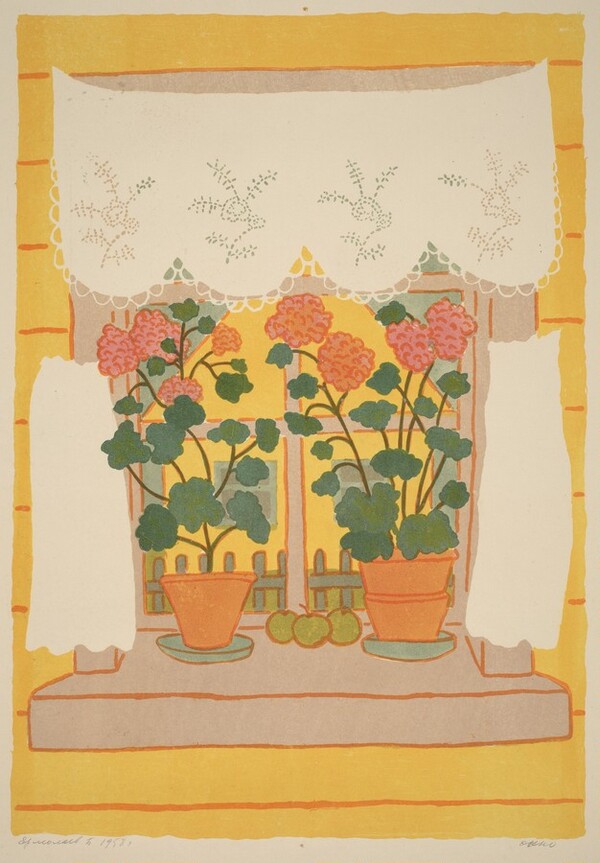 Windows and Plants