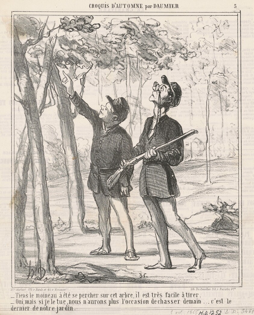 Tiens, le moineau a été sepercher