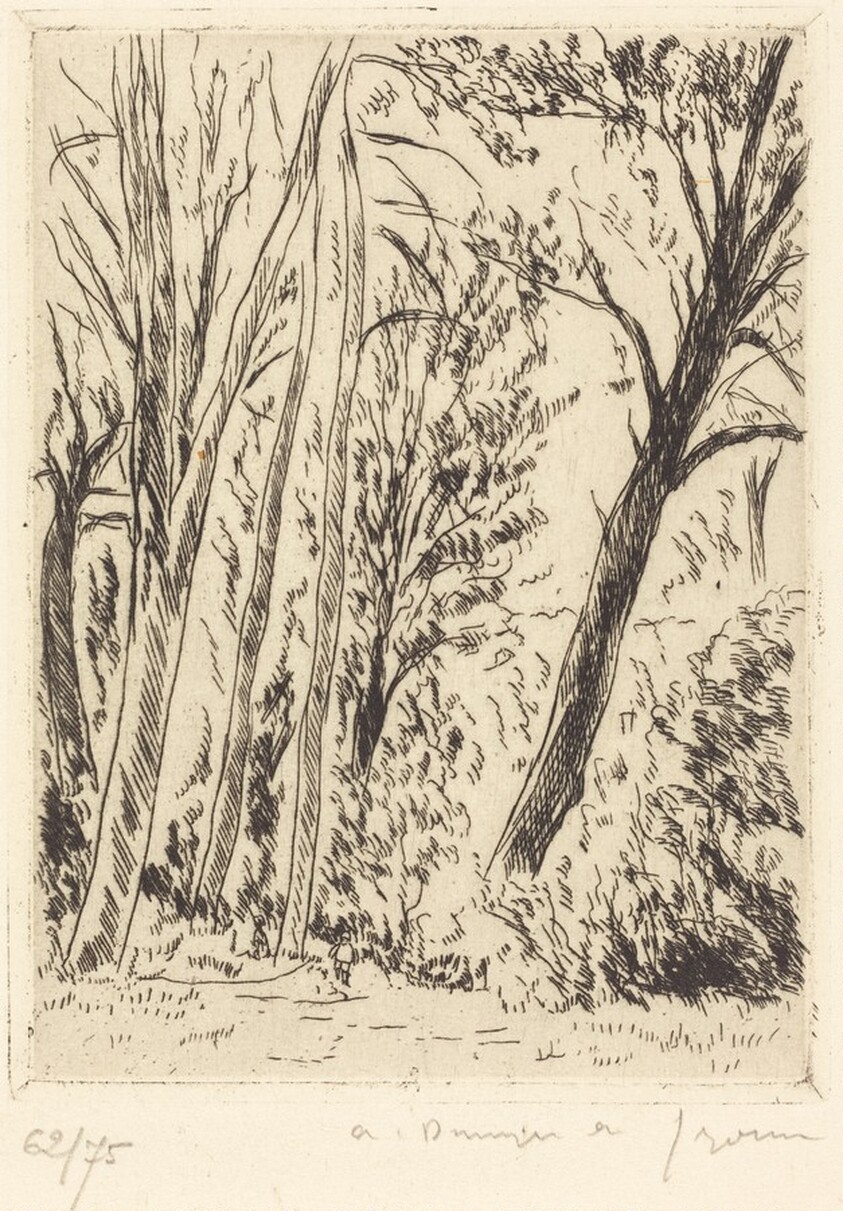 Leaning Tree, Chaville (Chaville, l'arbre penche)