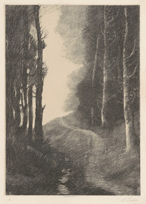The image depicts a narrow, winding pathway flanked by tall, slender trees. The trees' trunks rise towards the sky on both sides of the path. On the left, the trees are densely packed, creating a shadowy area, while on the right, they are spaced out, allowing light to filter through. The path curves uphill and there is no visible horizon. The artwork employs fine lines and hatching to convey texture and depth, and features a monochrome palette of blacks, whites, and greys that creates a serene visual impact.