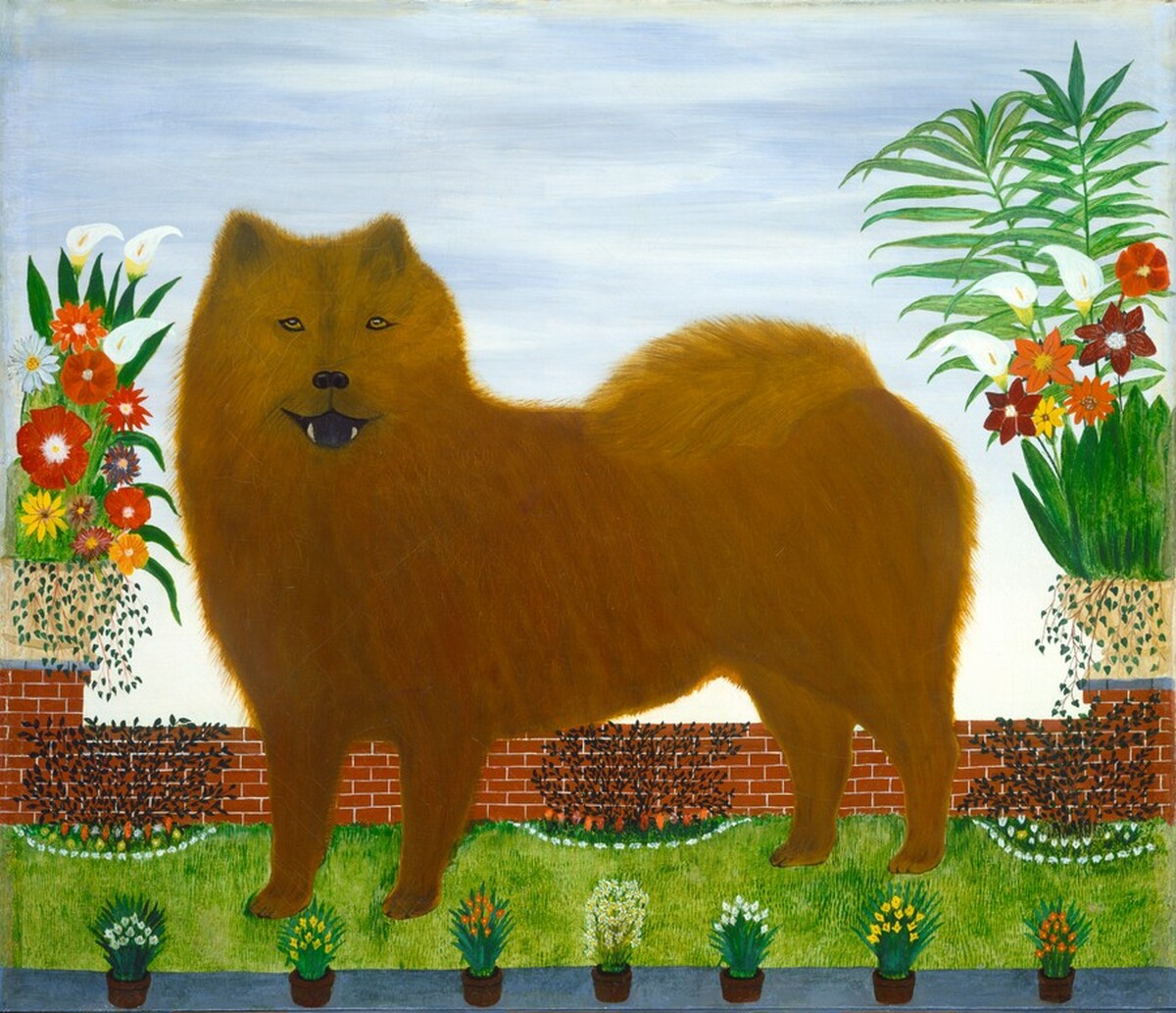 The Dog