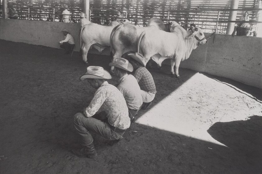 Texas State Fair, Dallas