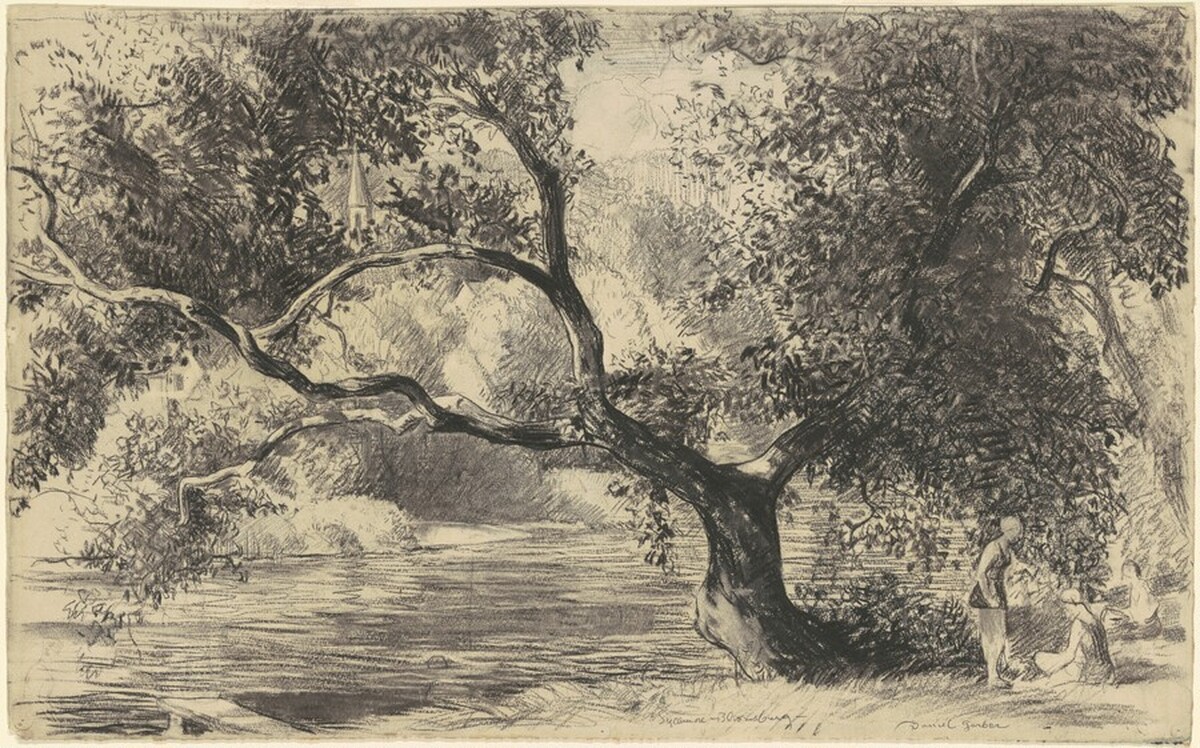 Sycamore—Bloomsbury