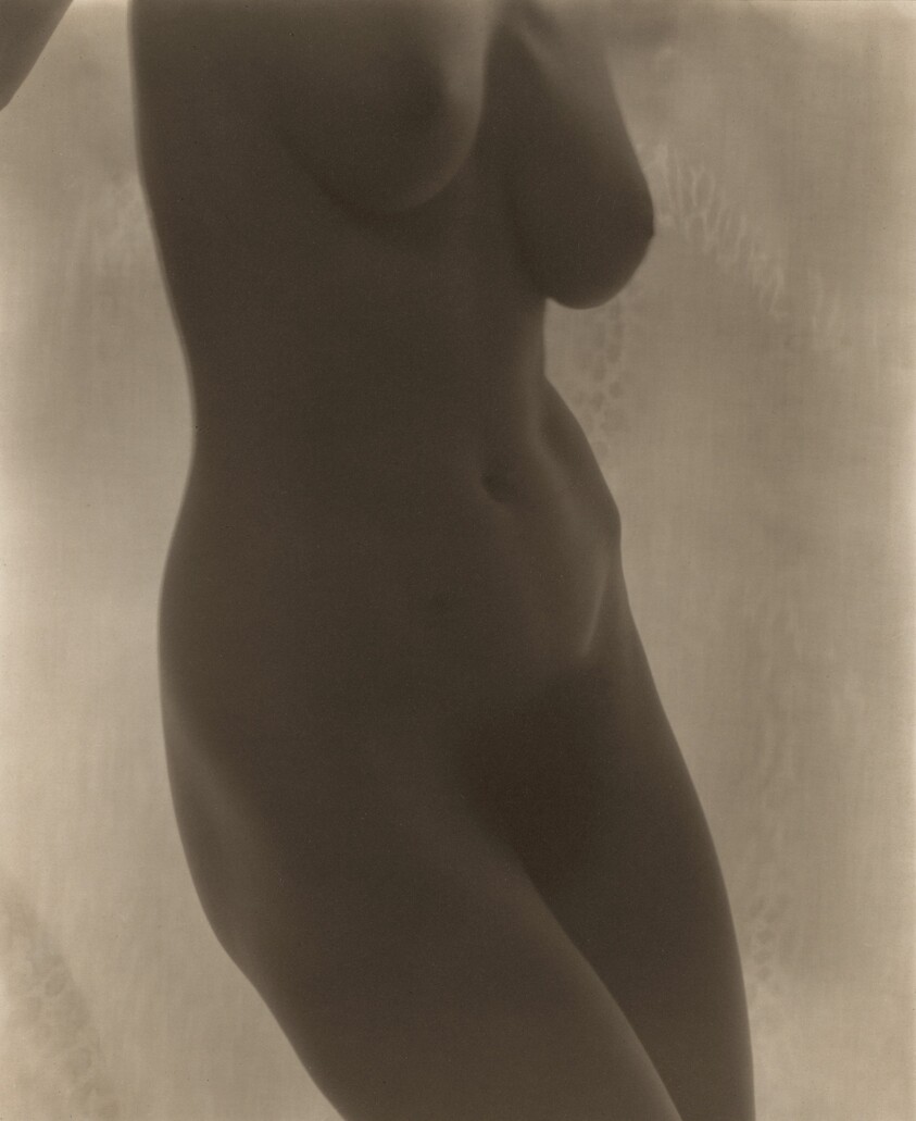 Georgia O'Keeffe—Torso