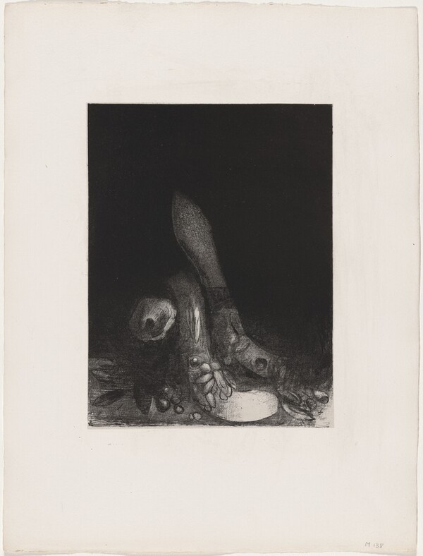 Des Fleurs Tombent, et la Tête d'un Python Parait