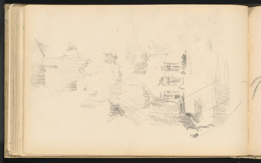 House Surrounded by Vegetation