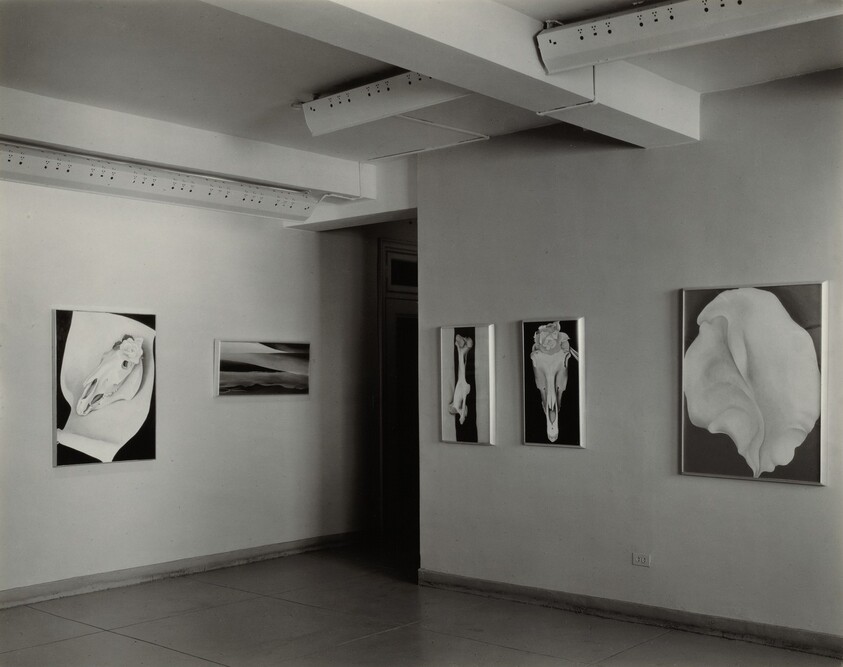 Georgia O'Keeffe—Exhibition at An American Place