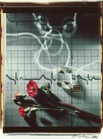 Flowers, etc., György Kepes, 1982