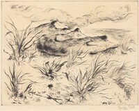 Dunes and Grass (Dünen und Strandgräser), George Grosz, 1949
