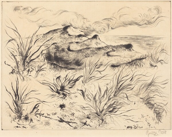 Dunes and Grass (Dünen und Strandgräser)