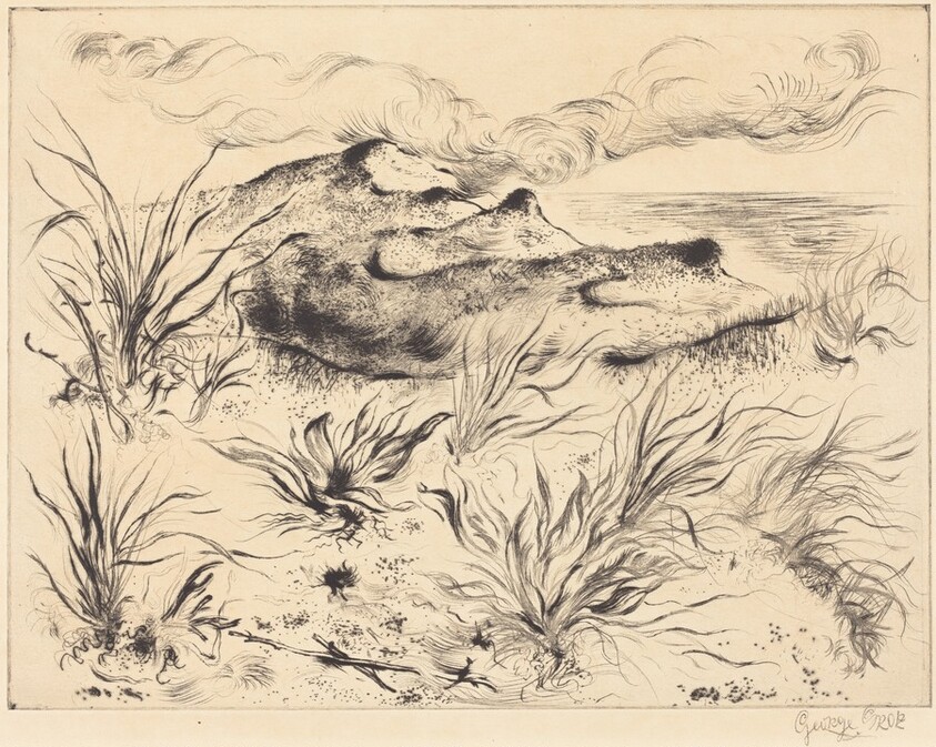 Dunes and Grass (Dünen und Strandgräser)