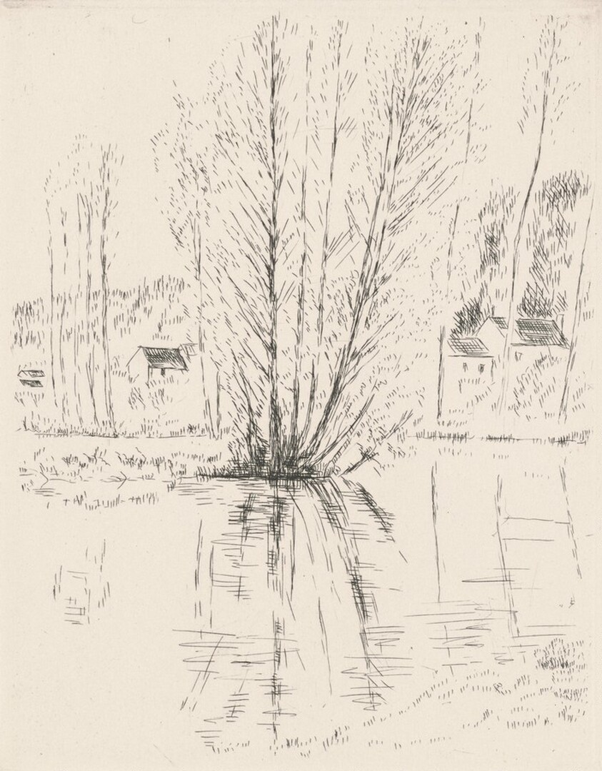 Comme on void sur la branche... (As We See on the Branch...)