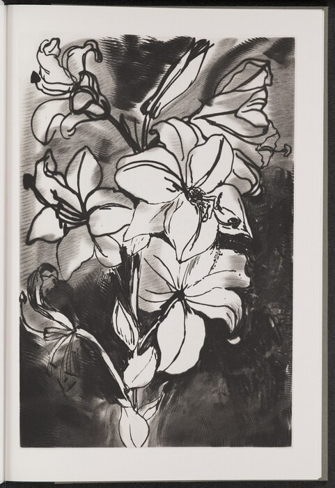 The composition is a monochromatic etched cluster of six lilies in various stages of growth that emerge from the bottom of a vertical rectangular page. Starting at the bottom of the page, a single dark stem moves up from the center surrounded by small pointed leaves and tightly closed buds curving toward the lower left. Moving up the image, the stem separates into three large white blossoms that overtake the center of the frame. Five of the lilies face us. One lily in the bottom right reveals the back of the petals and base where it connects to the stem. The blossoms have wide flared petals that appear bright against darker surroundings. The flowers are defined with a variety of thick and thin black lines. At the center of the forward-facing lilies, thin stalks with black dots reach outward. Above the main blossoms, the cluster continues with a long, slender bud pointing toward the upper right and another partially opened blossom on the left. These elements form a curved shape that span to the height of the image. The flowers contrast against a background of deep black and dark grey. Scratch marks, straight hatching, and swirling lines fill in the negative space around the cluster. The heavy application of black is concentrated at the bottom of the composition, while the top remains lighter with three patches of deep black.