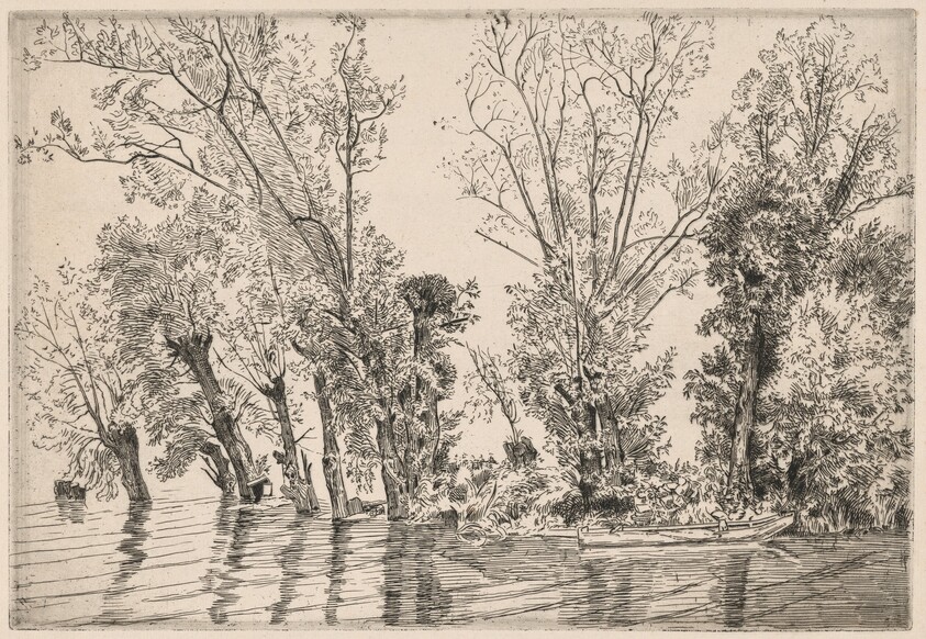 Willows of the Mottiaux Islands