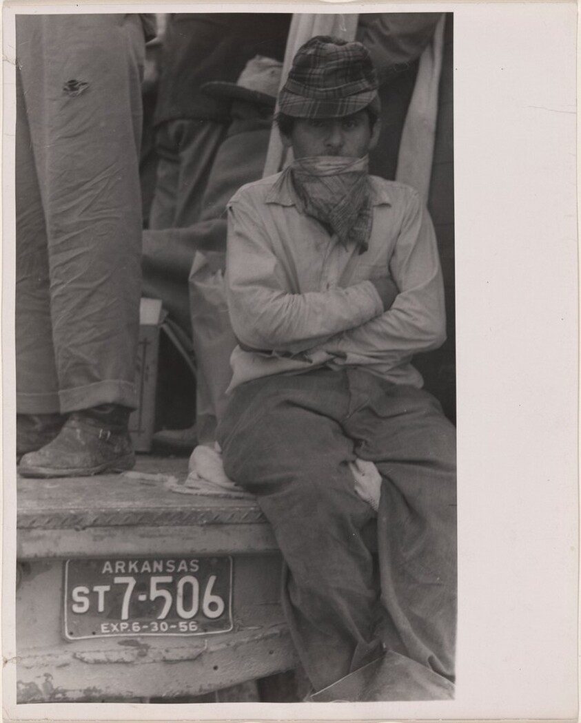 Cotton harvester wearing bandana--Arkansas