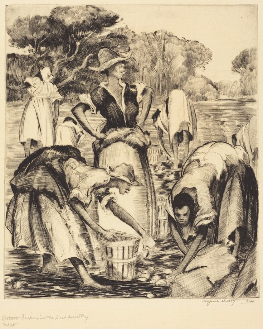 Potato Pickers in the Low Country