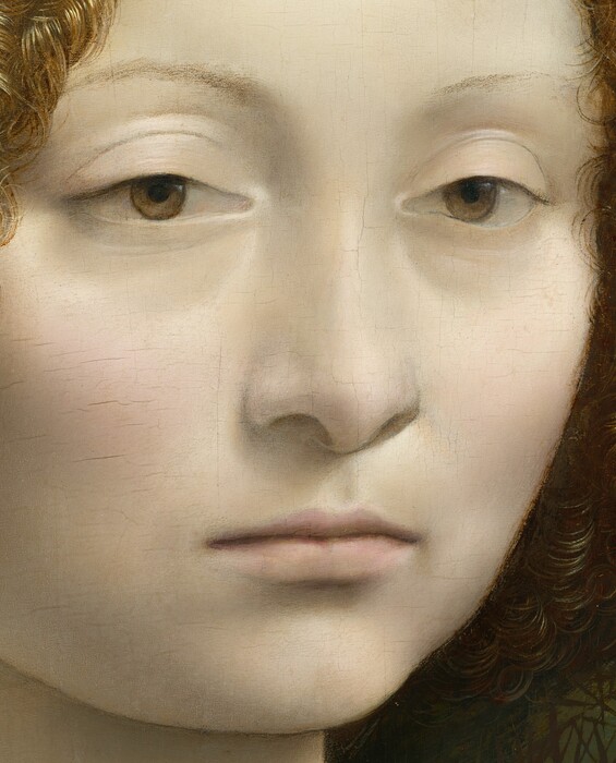 This square portrait shows the head and shoulders of a young woman in front of a spiky bush that fills much of the background except for a landscape view that extends into the deep distance to our right. The woman's body is angled to our right but her face turns to us. She has chalk-white, smooth skin with heavily lidded, light brown eyes, and her pale pink lips are closed. Pale blush highlights her cheeks, and she looks either at us or very slightly away from our eyes. Her brown hair is parted down the middle and pulled back, but tight, lively curls frame her face. Her hair turns gold where the light shines on it. She wears a brown dress, trimmed along the square neckline with gold. The front of the bodice is tied with a blue ribbon, and the lacing holes are also edged with gold. A sheer white veil covers her chest and is pinned at the center with a small gold ball. The bush fills the space around her head with copper-brown, spiky leaves. A river winds between trees and rolling hills in the distance to our right. Trees and a town along the horizon, which comes about halfway up the painting, is pale blue under an ice-blue sky.